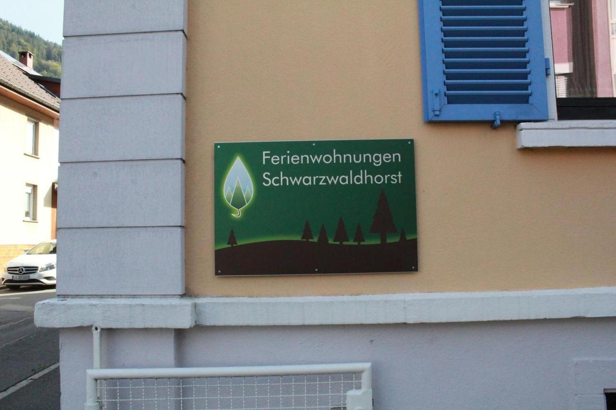 Schwarzwaldhorst 1 Fuer 8 Gaeste In Todtnau, Liftverbund Feldberg מראה חיצוני תמונה
